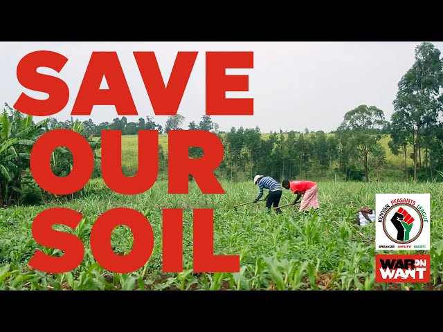 Save Our Soil. The Kenyan Peasant's League (KPL) building alternatives to agro-toxics.