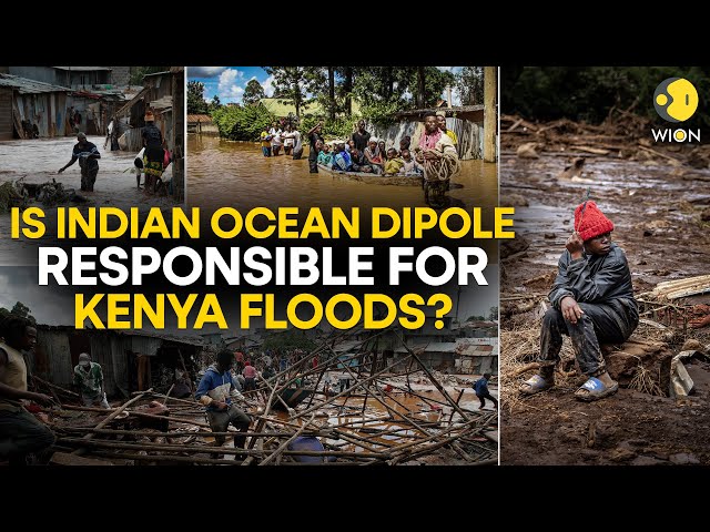 Kenya floods: Why is Kenya witnessing deadly floods? | WION Originals