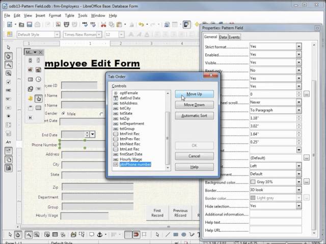 LibreOffice Base (13) Pattern Field
