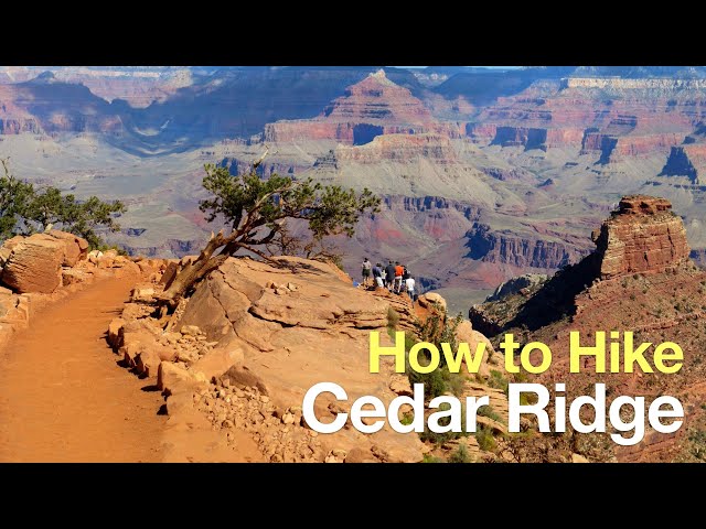 Cedar Ridge Trail Hike (Grand Canyon)