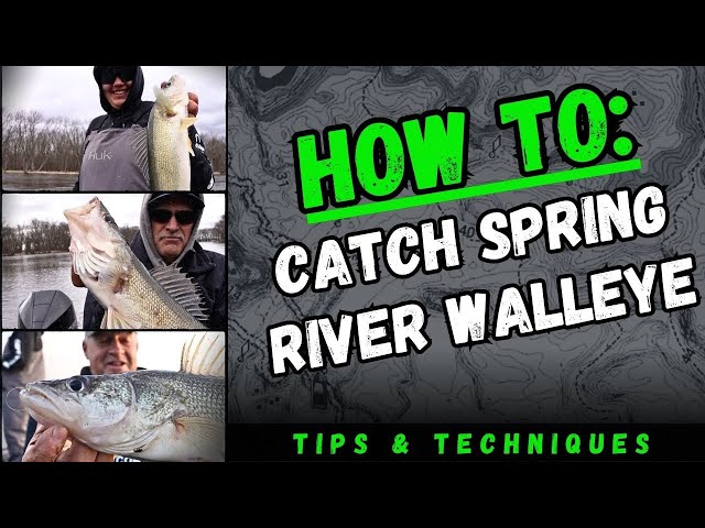 How to Catch Spring Walleye On River Systems (Tips & Techniques)