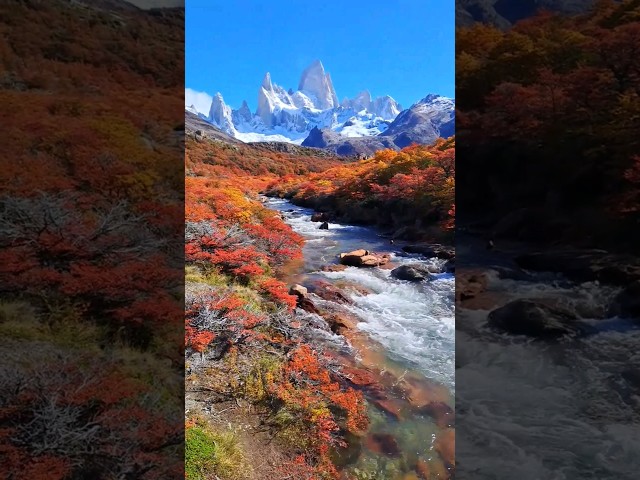 Autumn 🍂 in Patagonia #outdoors #travel #argentina