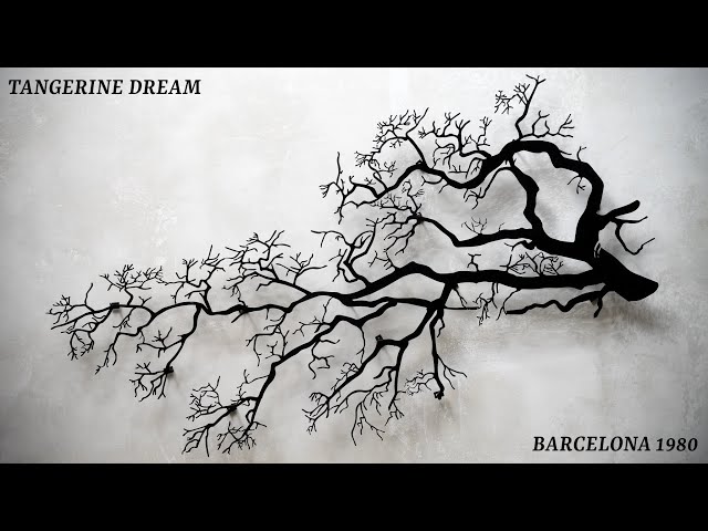Tangerine Dream - Barcelona 1980