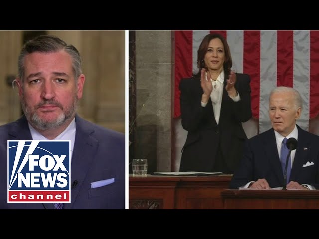 Biden reminded me on an 'angry old man' in State of Union address: Cruz