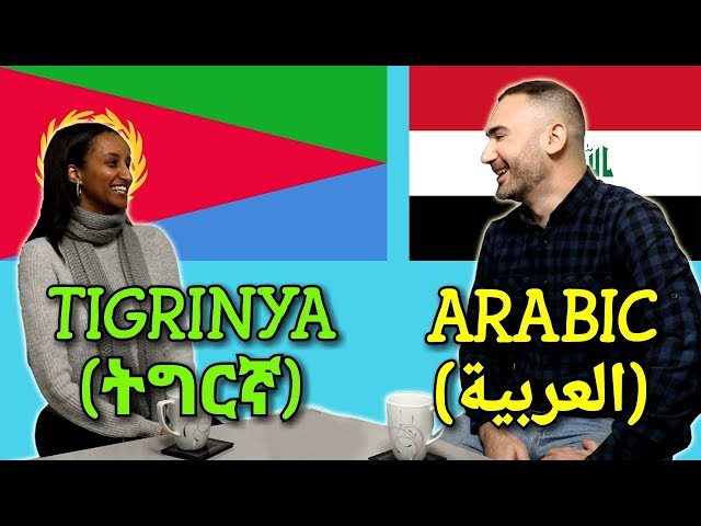 Similarities Between Tigrinya and Arabic