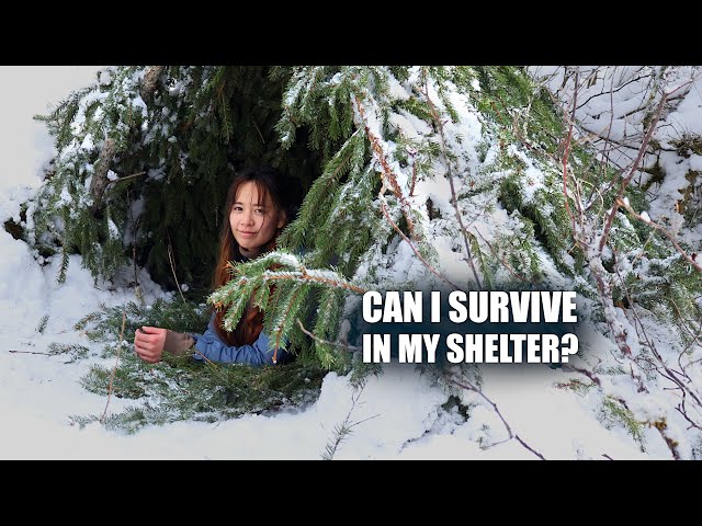 I'm so Wet in Rain & Snow Building a Survival Shelter - Solo Winter Camping