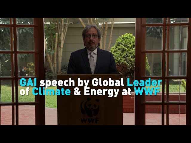 GAI speech by Global Leader of Climate & Energy at WWF