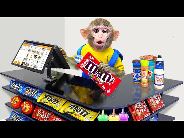 KiKi Monkey pretend play as Supermarket Cashier - New Funny Animals Video | KUDO ANIMAL KIKI
