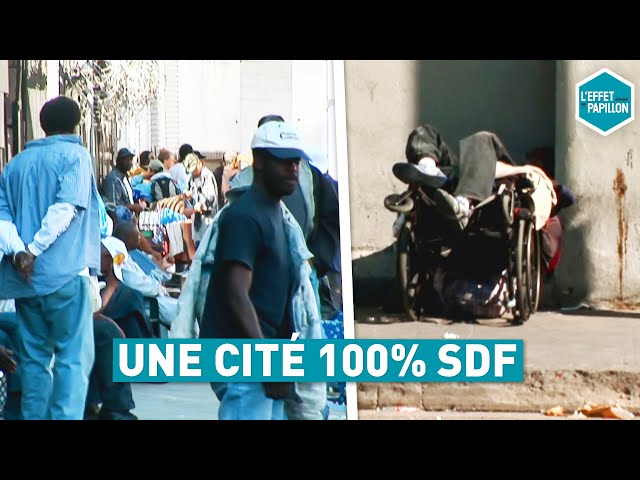 UNE CITÉ 100% SDF (Etats-Unis) - L'Effet Papillon