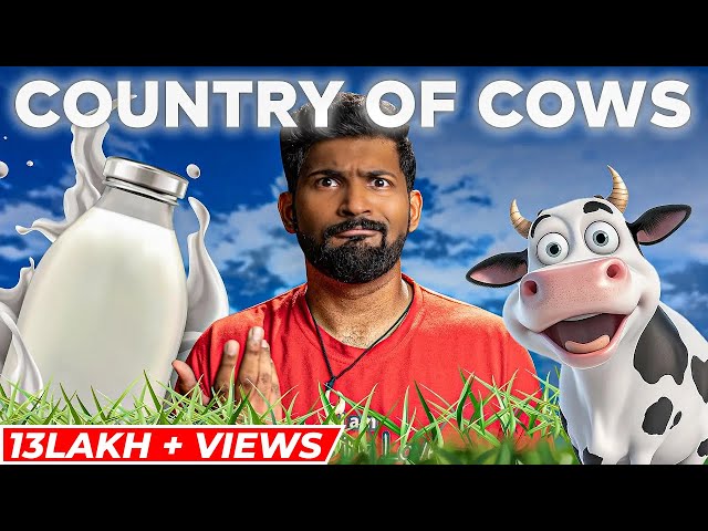 How MILK made NEW ZEALAND very very rich? | World cup of Economies by Abhi and Niyu