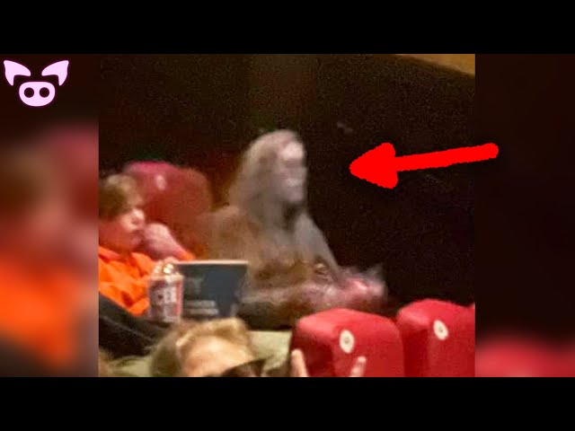 Chilling Ghost Sightings Caught on Camera