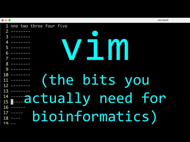Why I use vim for bioinformatics
