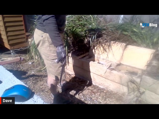 Watch Dave Do Manual Labour