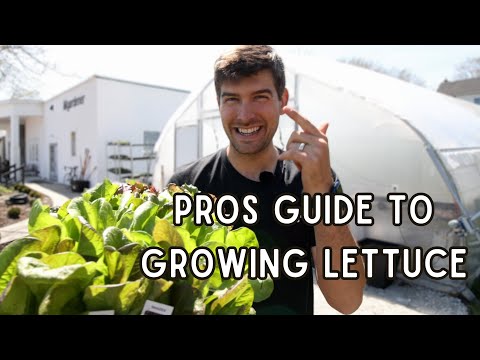 100% Organic Growing Guides : How to Grow It, Step by Step.