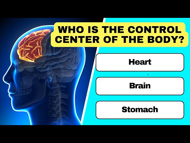 Can You Pass This Human Body Quiz? | General Knowledge Quiz #7