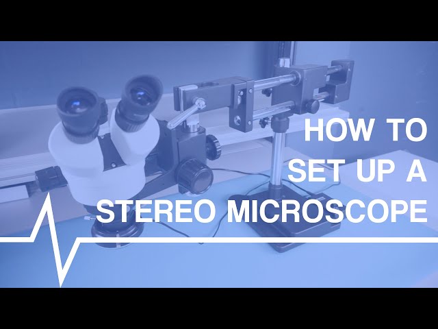 How to Set Up a Stereo Microscope Correctly