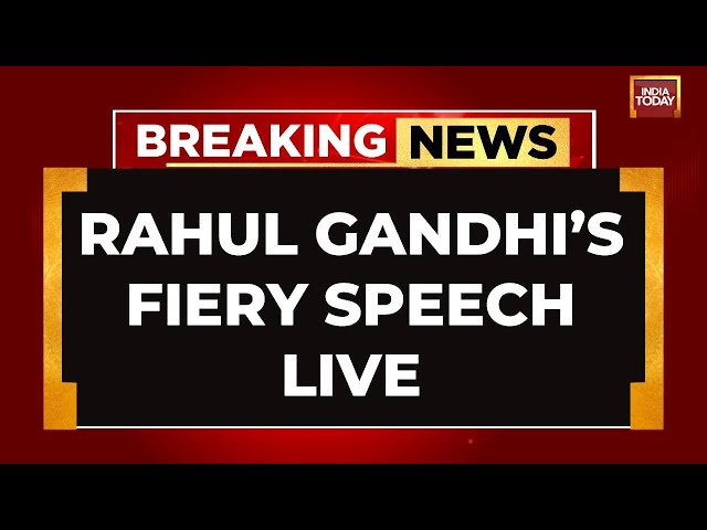 Rahul Gandhi LIVE: Rahul Gandhi's Mega Address In Odisha | Rahul Gandhi Speech LIVE | India Today