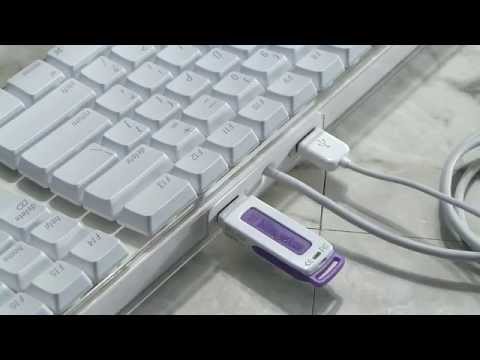Apple Keyboards and Mice