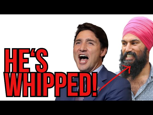Trudeau has whipped Jagmeet Singh's NDP! Vote him out!