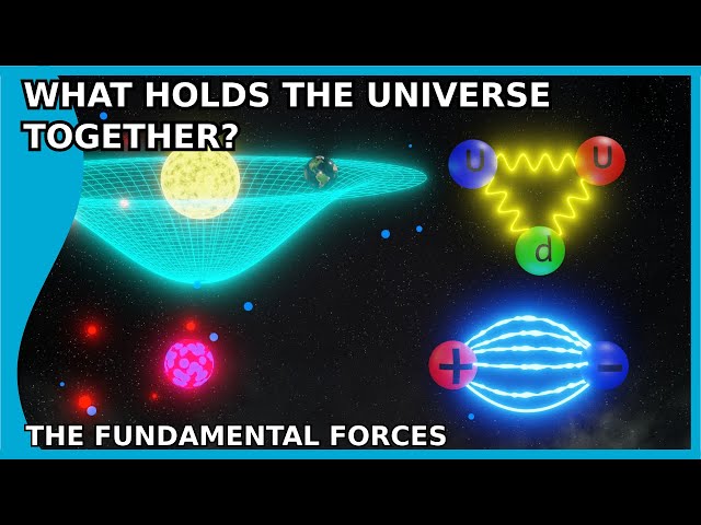 What Holds the Universe Together? The Fundamental Forces