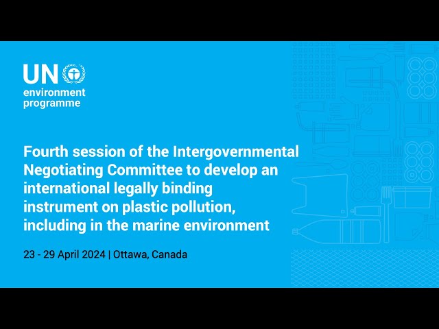 INC-4 on plastic pollution (part 5)