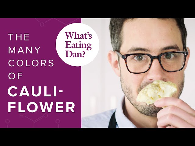 The Science of Cauliflower: Why it's the Most Versatile Veggie | What's Eating Dan?