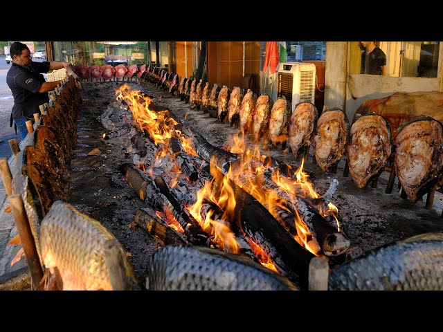 Amazing Iraqi Style Grilled Fish Around Charcoal and wood Fire | Erbil-Kurdistan Street Foods