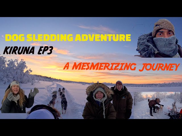🐾Dog Sledding Adventure🛷: Exploring Snow-Covered Forests🏔️| Sweden | Kiruna | Tamil vlog | Episode 3