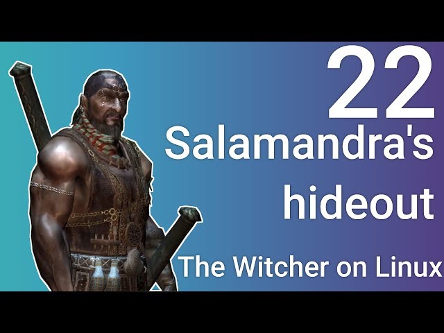 Into the Salamandra's Nest  - The Witcher on Linux (with Steamplay / Proton) - part 22