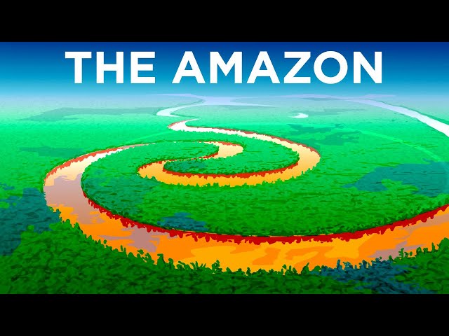 Secrets of the Amazon Rainforest