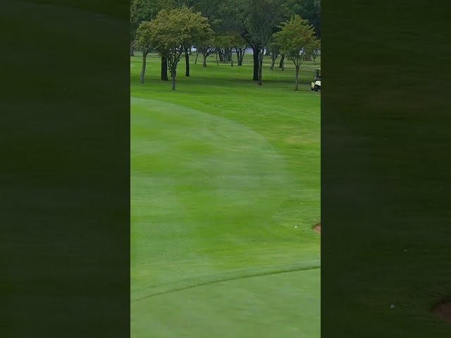 Relatable golf shot. Hilarious commentary 😂