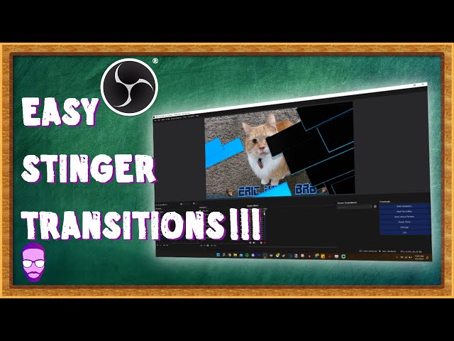 How to Use STINGER TRANSITIONS + FREE DOWNLOAD LINK [2022]