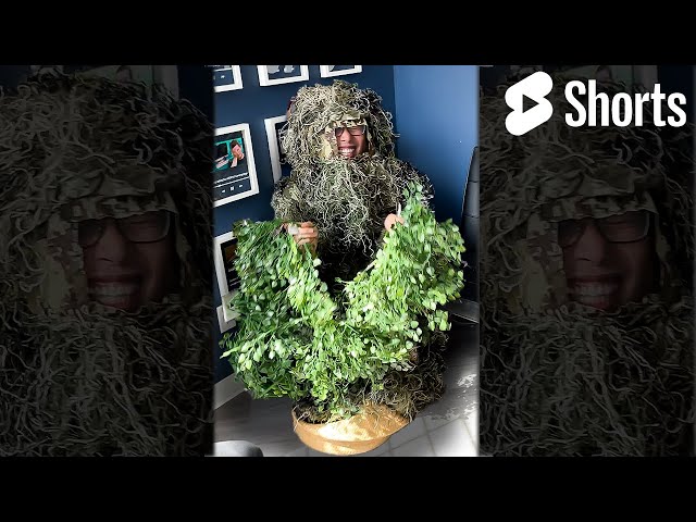Sneaking into a YouTube Video (as a tree)