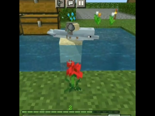 I Got my Dolphin in Minecraft One block short