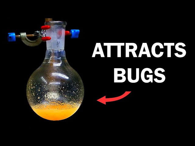 Making a liquid that attracts biting insects (1-octen-3-ol)