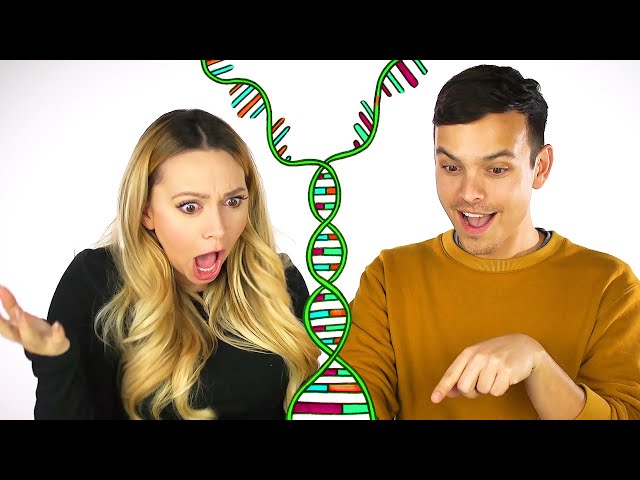 Sibling DNA Test Results! | Was I Adopted??