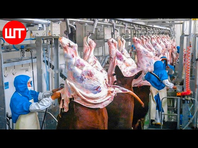 Modern Meat Processing Factory | Million Dollar Cow Processing Technology & Cutting Line