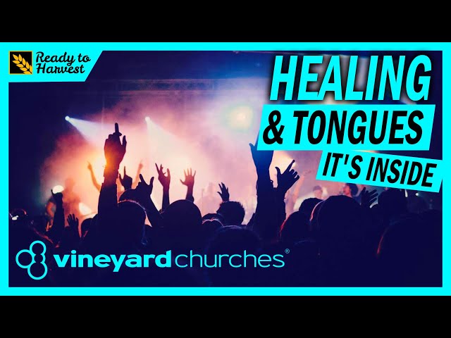 What is Vineyard Churches?