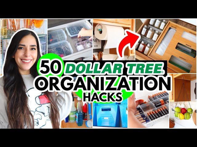 50 Dollar Tree Organization HACKS to make 2024 your *MOST ORGANIZED* year ever!