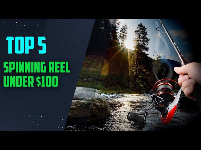 Best spinning reel under $100 | spinning reel| best spinning reels 2024 |fishing spinning reels 2024