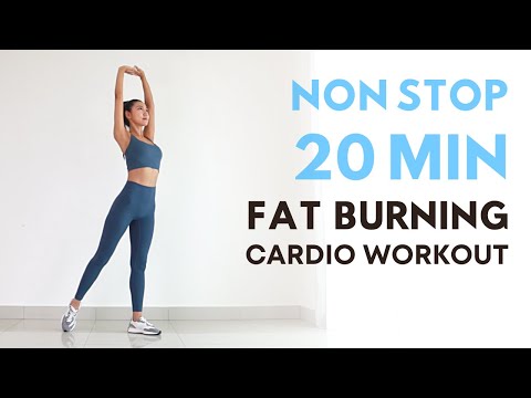 20-30 Minute Workouts
