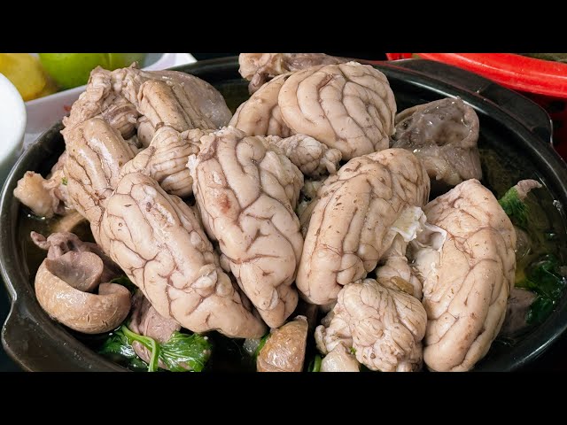 Eating DOG BRAIN cooked with mugwort and other delicious dishes made from DOG MEAT | SAPA TV