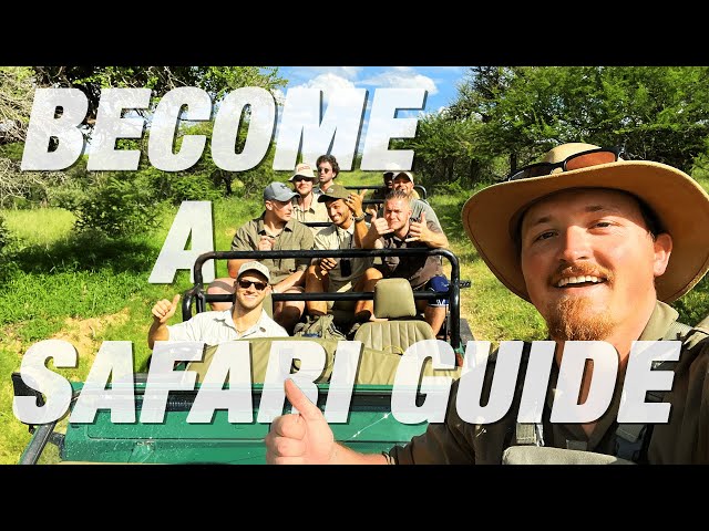 How To Become A SAFARI GUIDE In 2024