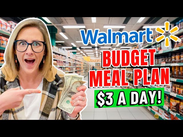 *REALISTIC* BUDGET FAMILY MEAL PLAN $100/WEEK // 2023 Feed a Family on a Budget