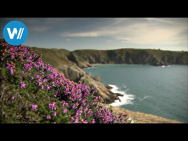 Sark, die Kanalinsel der Queen (360° - GEO Reportage)