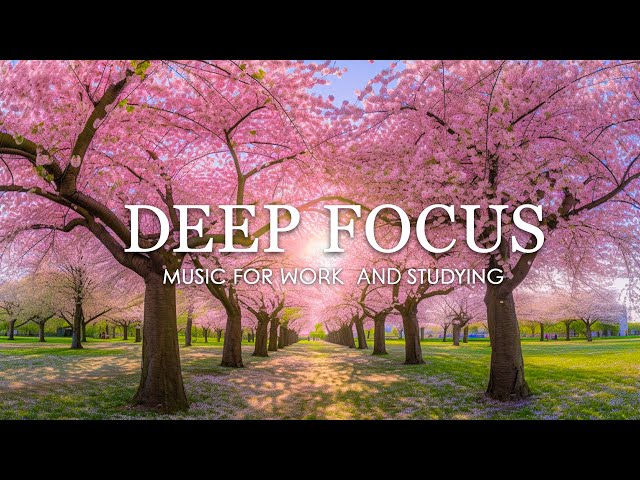 Deep Focus Music To Improve Concentration - 12 Hours of Ambient Study Music to Concentrate #556
