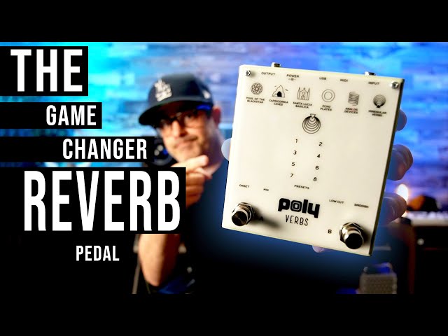 POLY Verbs - The Game Changer Reverb Pedal!!!
