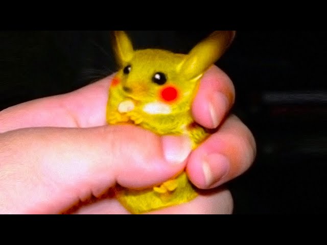 When Pokemon Characters Are Caught In Real Life
