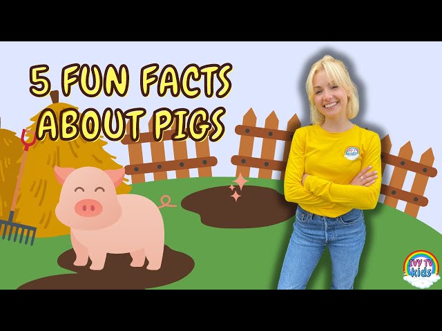 Fun Facts About Pigs | Fun Facts On The Farm | IVY TV KIDS!