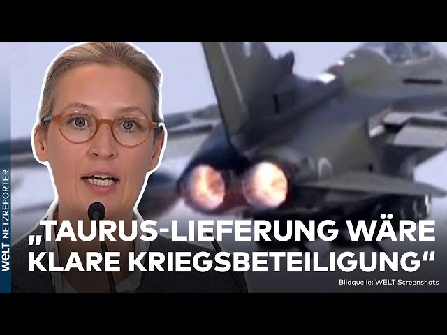 Taurus-Tauziehen: "Marschbefehl"? Pistorius modernisiert gesamten Bundeswehr-Bestand | WELT Exklusiv